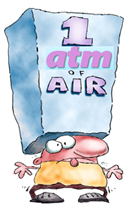 壹号娱乐 - NG大舞台,有梦你就来